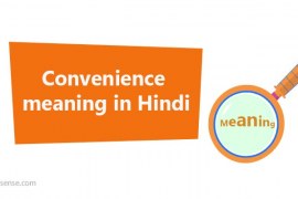 Convenience meaning in Hindi – Convenience का अर्थ हिन्दी में